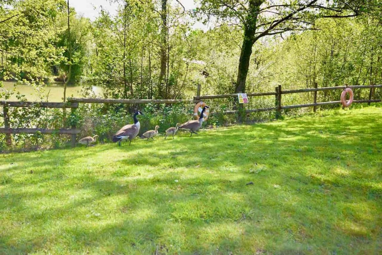 E7 Roebeck Country Park Villa Ryde  Exteriör bild